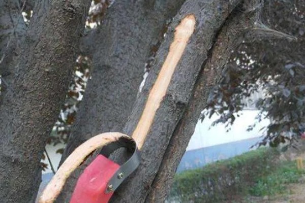 怎么在冬春季节防治农作物害虫，可草把灭虫、清园灭虫等