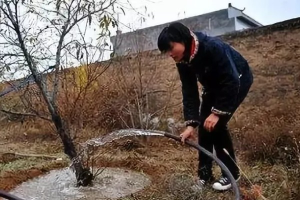 怎么在冬春季节防治农作物害虫，可草把灭虫、清园灭虫等