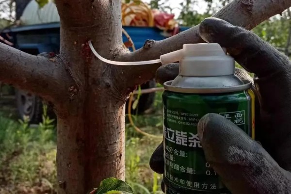 怎么在冬春季节防治农作物害虫，可草把灭虫、清园灭虫等