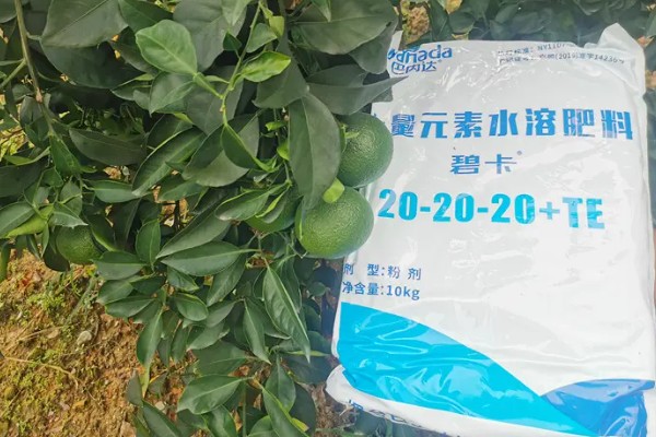 大量元素水溶肥的作用，具有促根壮苗、保果膨果等效果
