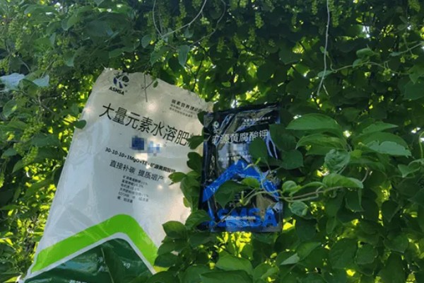 大量元素水溶肥的作用，具有促根壮苗、保果膨果等效果
