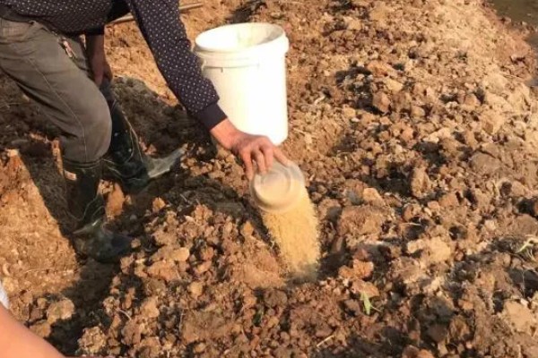 大量元素水溶肥的作用，具有促根壮苗、保果膨果等效果