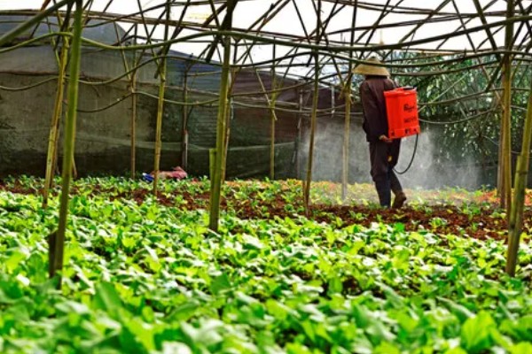 大量元素水溶肥的作用，具有促根壮苗、保果膨果等效果