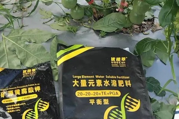 大量元素水溶肥的作用，具有促根壮苗、保果膨果等效果