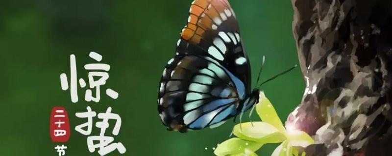 春雷响万物长描写的是哪个节气,是惊蛰节气