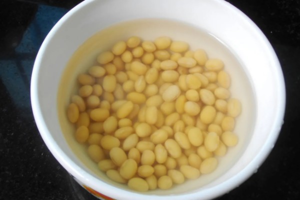 黄豆怎么发成豆芽，要浸入清水中淘洗三次