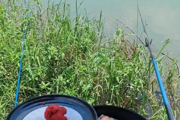 野钓用几号主线,在1到4号之间选择