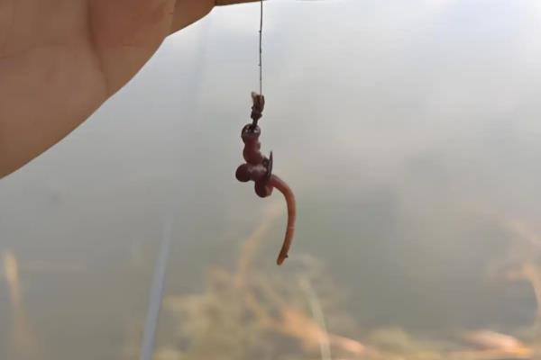 野钓用几号主线,在1到4号之间选择