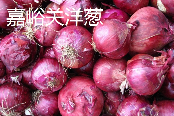 甘肃嘉峪关的特产，野麻湾西瓜备受消费者青睐