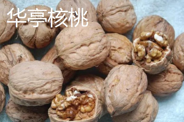 甘肃嘉峪关的特产，野麻湾西瓜备受消费者青睐