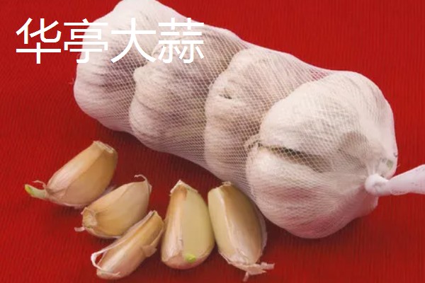 甘肃嘉峪关的特产，野麻湾西瓜备受消费者青睐