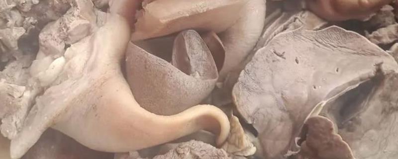 猪下货是什么，一般指猪的内脏