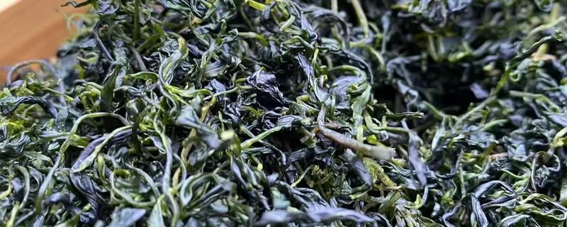 哪里产出的苦丁茶品质好,主要有贵州余庆、四川筠连等产地