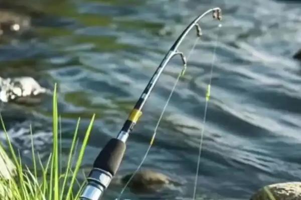 纯野钓是买台钓竿还是溪流竿，建议买便于携带的溪流竿