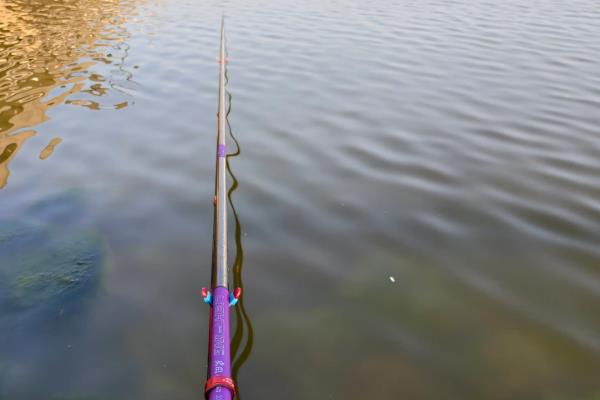 纯野钓是买台钓竿还是溪流竿，建议买便于携带的溪流竿