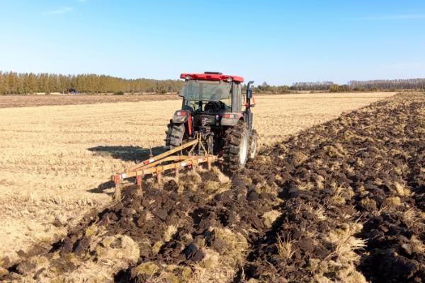 春花生在几月播种,在4-5月份播种