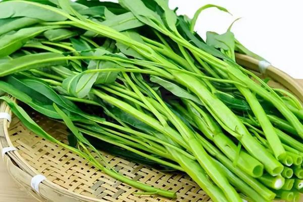 空心菜的保存时间，取决于保存方法