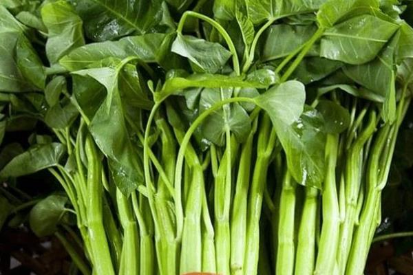 空心菜的保存时间，取决于保存方法