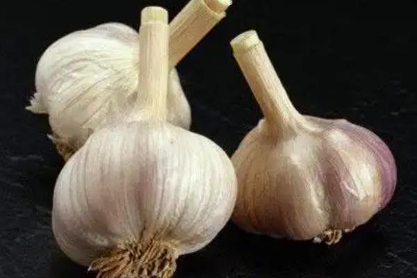 江西省新余市的特产，紫玉杨梅风味独特