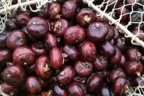 江西省新余市的特产，紫玉杨梅风味独特
