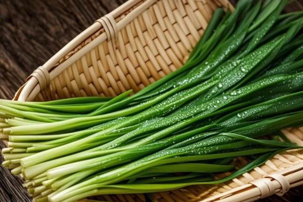 家庭如何种韭菜,尽量不要扎堆种植