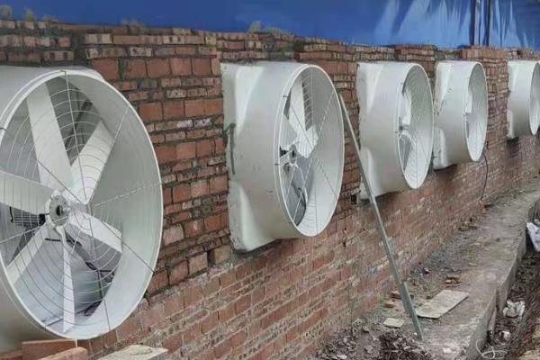 猪舍如何建造，应建造在地势比较高的地带