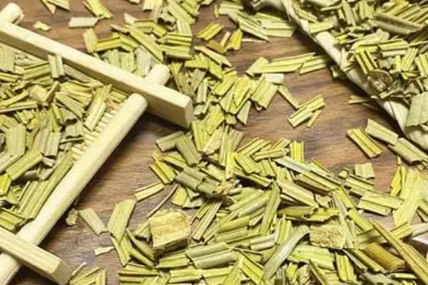 铁树的好处，可供观赏且有药用价值