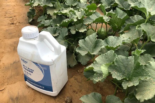 甜瓜追肥用哪种肥料好，一般以氮肥为主