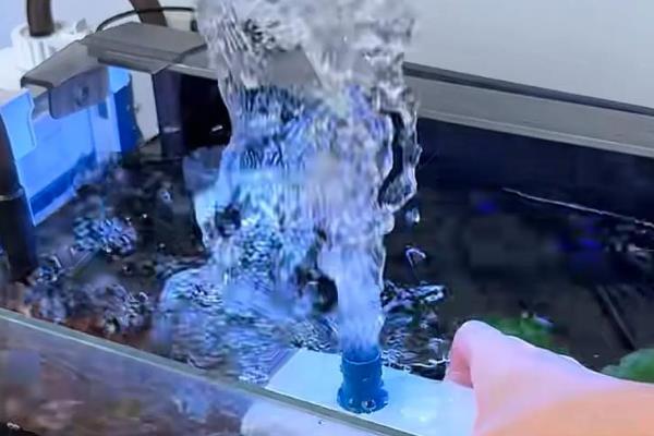 鱼缸水泵坏了怎么应急，只能通过换水来应急