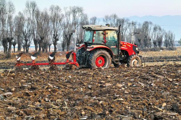 西瓜的栽培技术，种植前要进行一些催化的工作