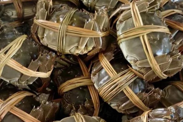 益阳大闸蟹的产地，产于大通湖