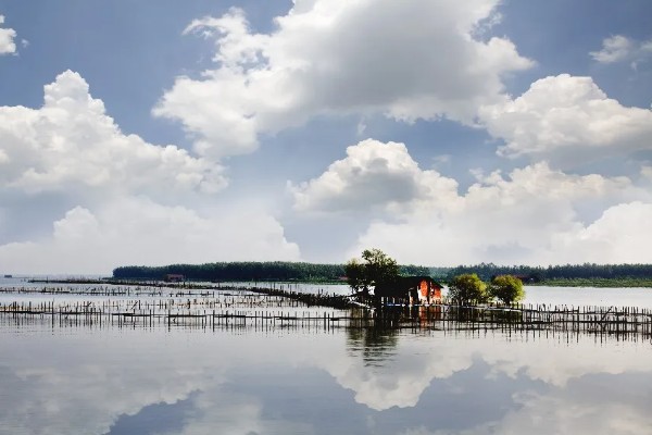 益阳大闸蟹的产地，产于大通湖