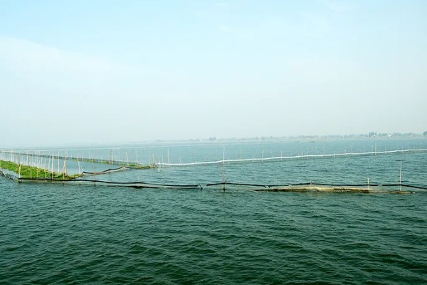 益阳大闸蟹的产地，产于大通湖