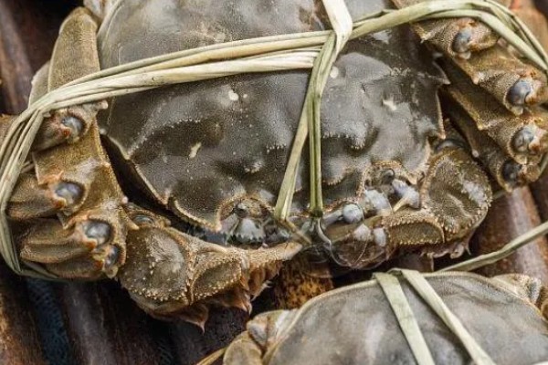 益阳大闸蟹的产地，产于大通湖