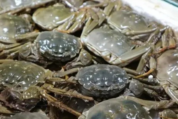 益阳大闸蟹的产地，产于大通湖