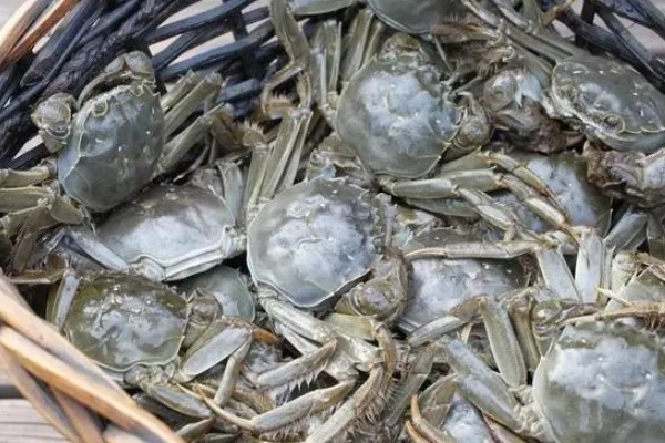 益阳大闸蟹的产地，产于大通湖