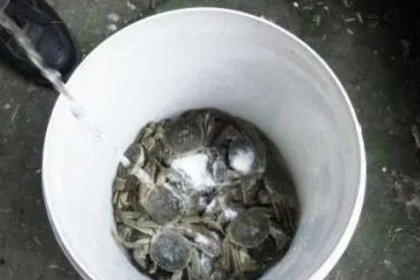 益阳大闸蟹的产地，产于大通湖