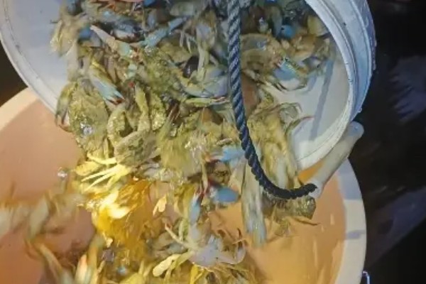 益阳大闸蟹的产地，产于大通湖