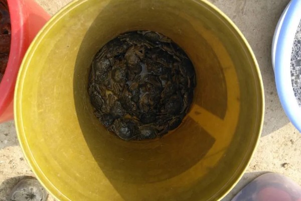 益阳大闸蟹的产地，产于大通湖