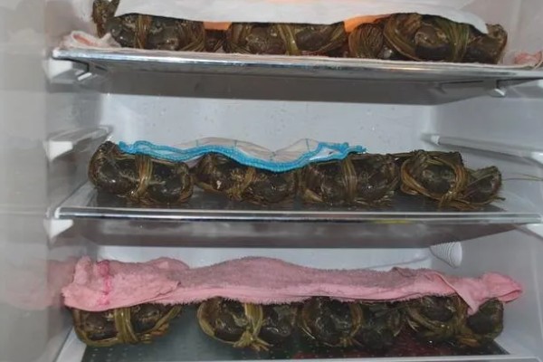 益阳大闸蟹的产地，产于大通湖