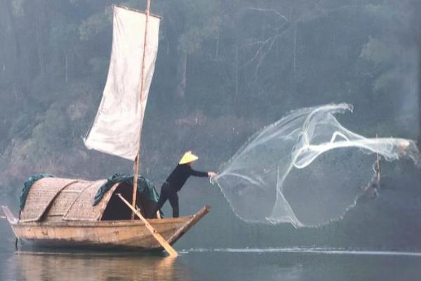 丝网怎么样才能捕捉到鱼，如果水不深则白天下网