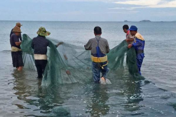 丝网怎么样才能捕捉到鱼，如果水不深则白天下网