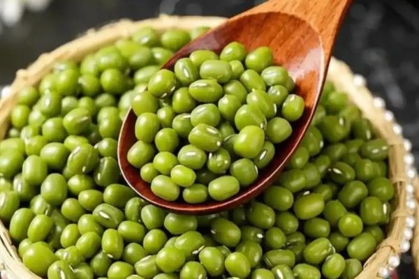 养殖民猪用什么饲料喂养，可以喂苦瓜、绿豆等