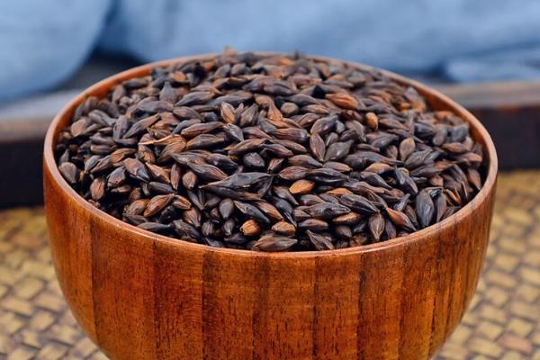 养殖民猪用什么饲料喂养，可以喂苦瓜、绿豆等