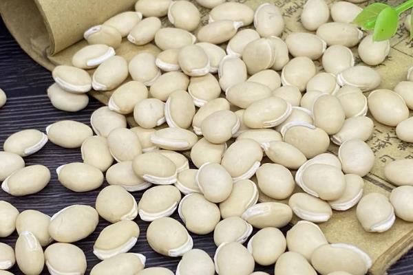 养殖民猪用什么饲料喂养，可以喂苦瓜、绿豆等