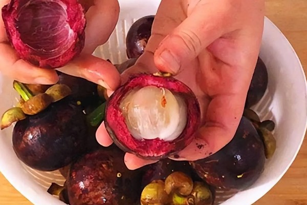 山竹里面黄黄的是什么东西，是黄色树脂