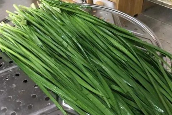 韭菜的虫害有哪些，有韭菜迟眼蕈蚊、蝼蛄等