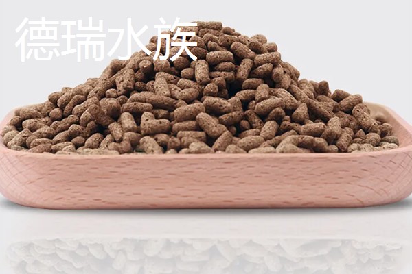 鳄龟喂什么龟粮，可以选择偏含肉类的龟粮