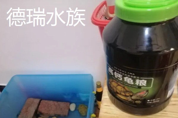 鳄龟喂什么龟粮，可以选择偏含肉类的龟粮