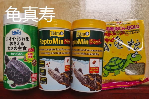 鳄龟喂什么龟粮，可以选择偏含肉类的龟粮